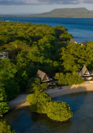 platarun-series-menjangan1